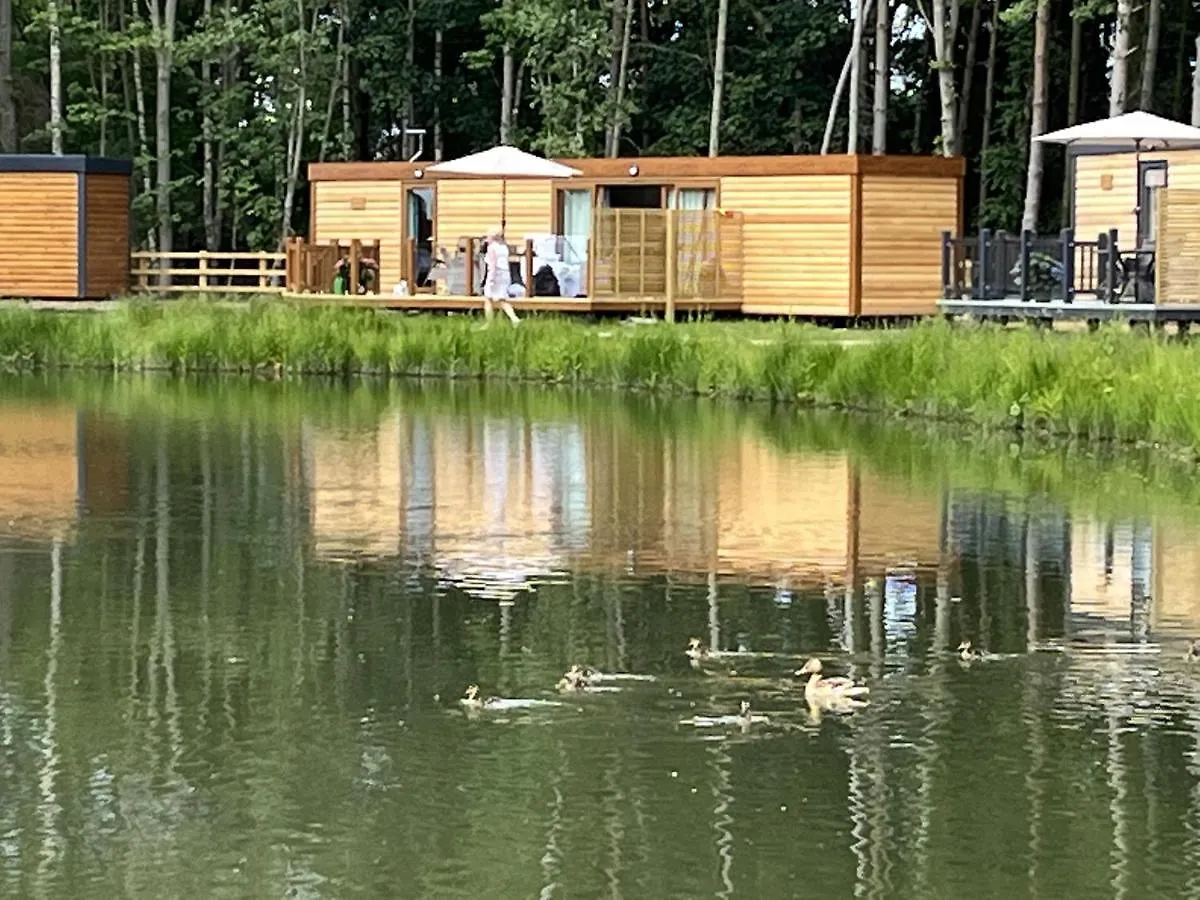 Holiday home Cedar Boutique Lodge-Dog Fishing And Spa Access York