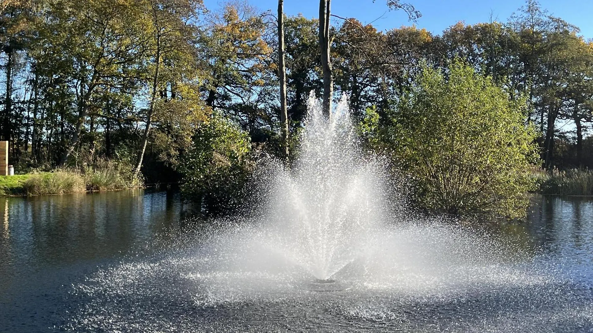 Cedar Boutique Lodge-Dog Fishing And Spa Access York Royaume-Uni