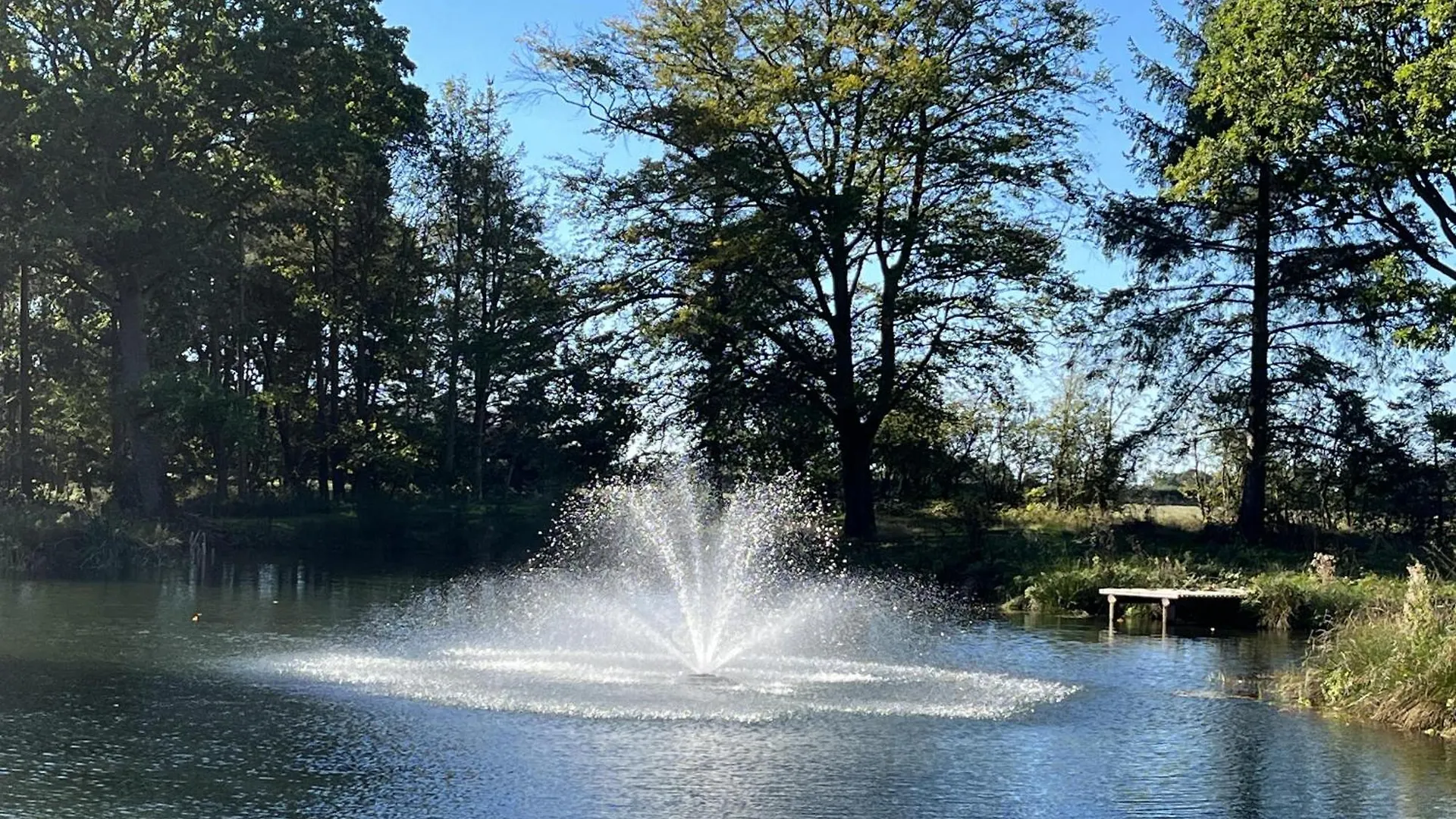 Cedar Boutique Lodge-Dog Fishing And Spa Access York 0*,  United Kingdom