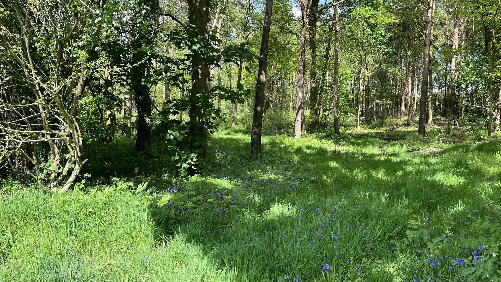 Cedar Boutique Lodge-Dog Fishing And Spa Access York Holiday home