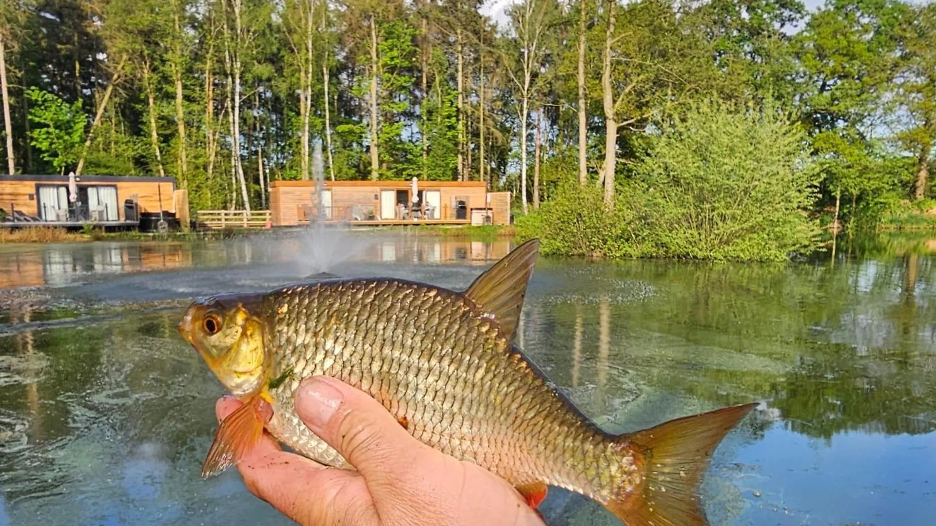 Hébergement de vacances Cedar Boutique Lodge-Dog Fishing And Spa Access York